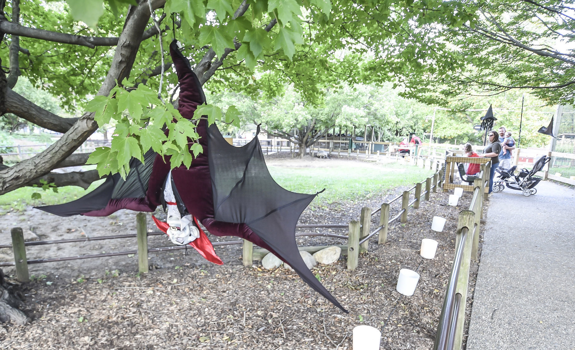 Boo at the Zoo
